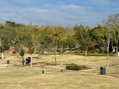 -牛岗山公园