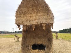 -嘉北郊野公园