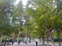 -汉长安城未央宫国家考古遗址公园