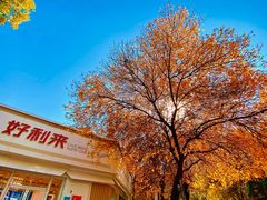 -好利来(槐中店)