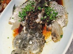 鼓汁蒸苏眉-都市阳光海鲜城(青山湖店)