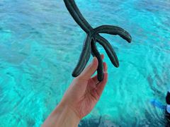 -海神庙