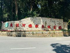 -广州市流溪河国家森林公园