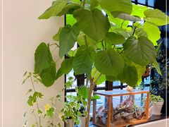 -一尺花园(安和花园店)