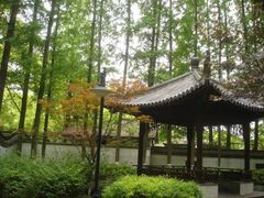 -瀛洲公园