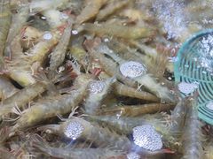 -聚盛源蒸汽海鲜火锅烤肉自助(巨川金海岸购物广场店)