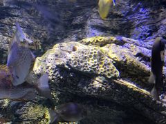-欢乐海岸海洋奇梦馆