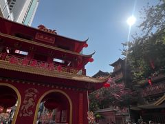 -越秀西湖花市(广州城市广场花卉店)
