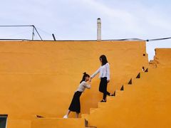-枸杞岛