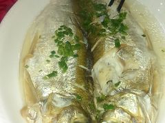 白鱼-石家饭店原址