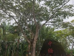 -一寨两国风景区