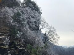 -神农架景区