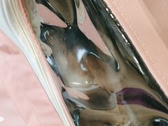 -爱侣·安琦尔宠物医院·中兽医针灸·心内科·狂犬免疫点(宝山区院)