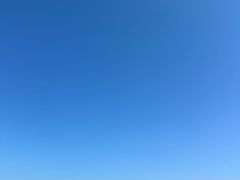 -棒棰岛宾馆景区