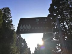 -旗山国家森林公园