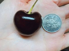 -西郊国际农产品交易中心