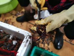 -熊记虾王·小龙虾(东晓南店)
