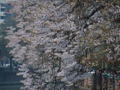-红星桥(地铁站)