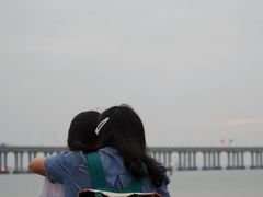 -宝安西湾红树林湿地公园