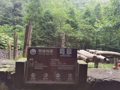 -都江堰中华大熊猫苑