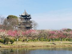 -上海海湾国家森林公园