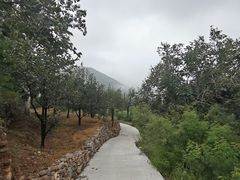 -狼牙山风景区