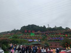 -枇杷园食为鲜火锅(南山店)