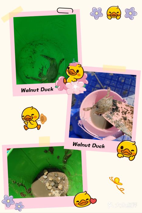 在海一方公园图片