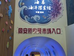 -常州海昌海洋探索馆