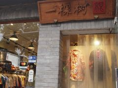 -一棵树(雨儿胡同)