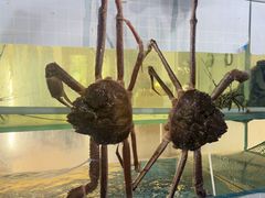 -碗中海·蒸汽海鲜·桑拿鸡(岭南天地店)
