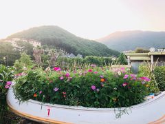 -宁波九龙湖开元度假村