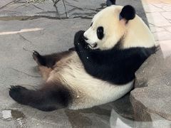 -宁波野生动物园