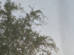 -绿堤公园