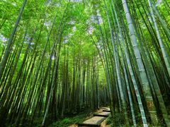 -南山风景名胜区