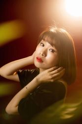 -施华洛婚纱摄影会所(范阳中路店)