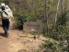 -千年银杏谷文化旅游区