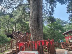 -终南山南五台景区