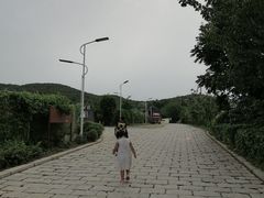-大连北马山庄