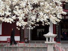 -大慈恩寺(大雁塔)