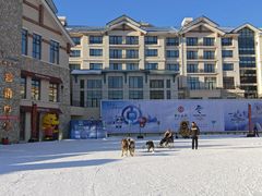-亚布力新体委滑雪场