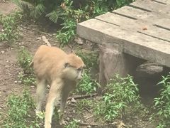 -重庆动物园·东二门售票处