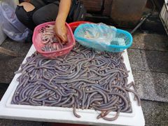 -黄沙水产交易市场