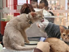 -万达广场(北京槐房店)