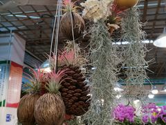 -双季花艺园艺市场(浦东店)