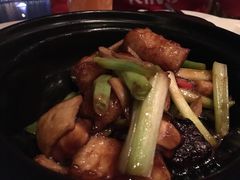-金轩中餐厅 Jin Xuan(浦东丽思卡尔顿酒店)