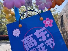 -高东镇樱花园