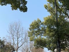 -杭州植物园