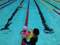 -重庆市奥林匹克体育中心-游泳跳水馆