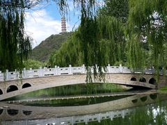 -北坞公园